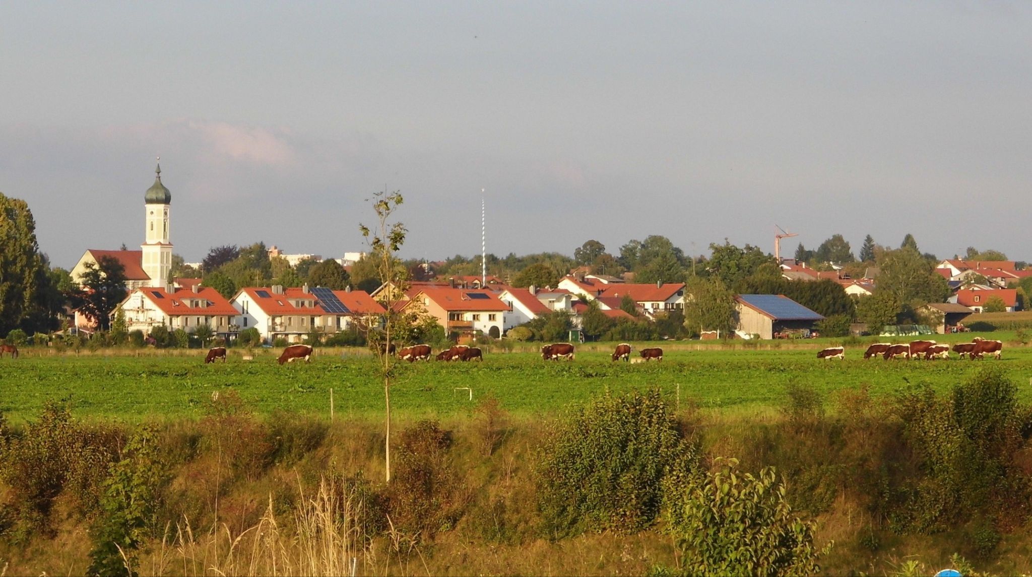 eigenheimer-zorneding